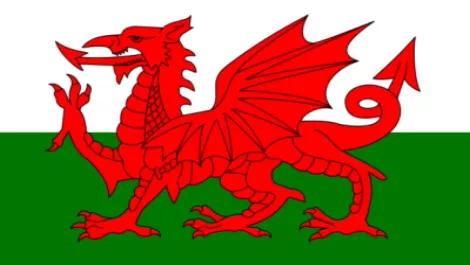 Wales woos hi-tech Kiwis