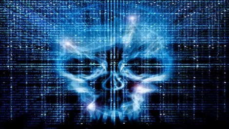 New cybersafety resource OWLS takes flight