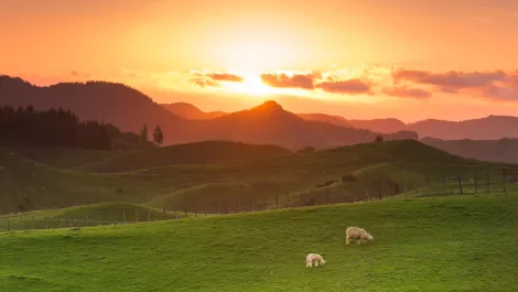 Thinkstockphotos 516948532