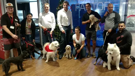 Lenovo dogs