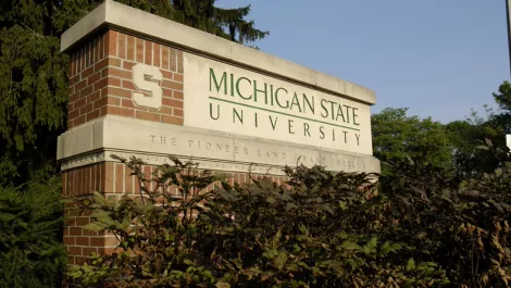 Msu sign